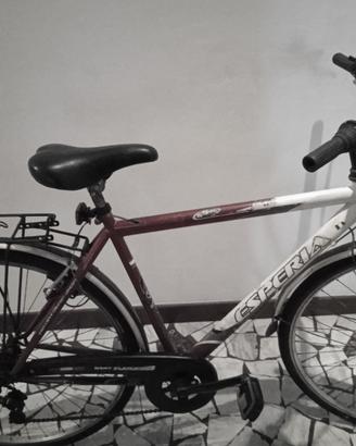 City bike mod. 28 con 6 rapporti