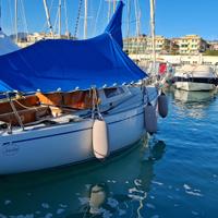 Barca a vela arlecchino