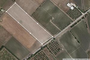 Terreno a due passi dal mare belice di mare