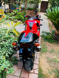 Vtr 1000 sp1