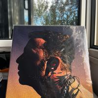 Vinile Salmo ‘Unplugged’
