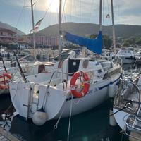 Gib Sea 262