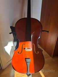 Violoncello 3/4