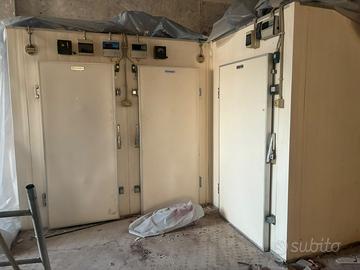 Celle frigorifere/freezer