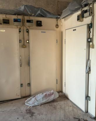 Celle frigorifere/freezer