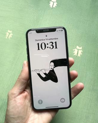 iPhone 11 Pro 256 GB
