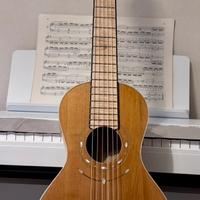 Chitarra di Liuteria Angelo Spataffi