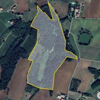 Podere V. Luretta (Piacentino) terreno fabbricati