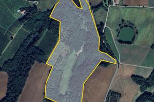 Podere V. Luretta (Piacentino) terreno fabbricati