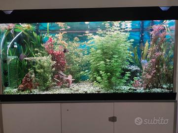 acquario completo 300 litri 