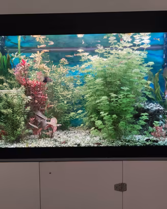 acquario completo 300 litri 
