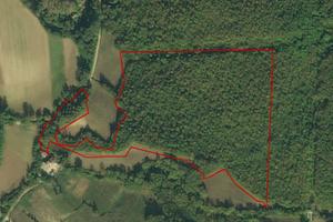 Terreno di natura boschivo - Alvignano