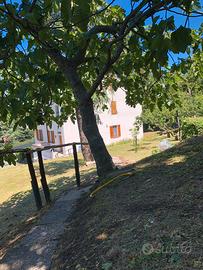Zona Tranquilla