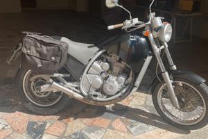 Aprilia Moto' 6.5 Stark