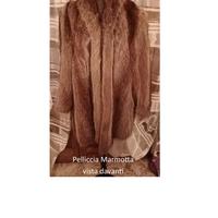 pelliccia Marmotta