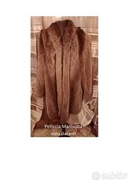 pelliccia Marmotta