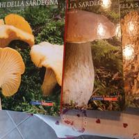 libri funghi 