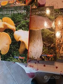 libri funghi 