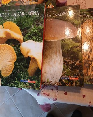 libri funghi 