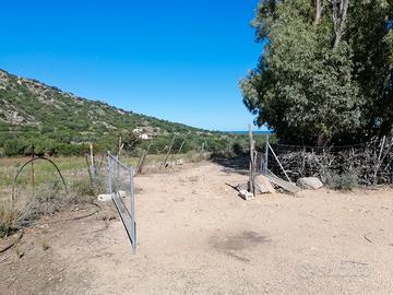 Terreno agricolo panoramico