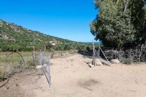 Terreno agricolo panoramico