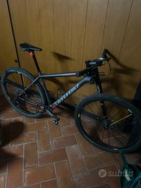 Bicicletta mtb