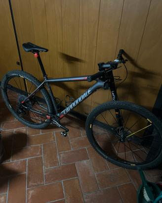Bicicletta mtb
