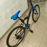 Bicicletta 24 pollici