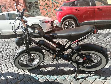 bicicletta elettrica 