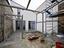 Immagine 21