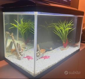 Acquario 60 litri MARCA MAGIS 60 come nuovo
