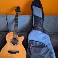 Chitarra acustica takamine