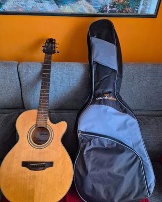 Chitarra acustica takamine