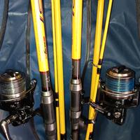 Canne surfcasting
