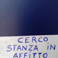 Sanremo e limitrofe ricerco stanza