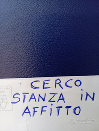 R.i.c.e.r.c.o monolocale max e.300