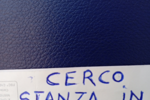 R.i.c.e.r.c.o monolocale max e.300