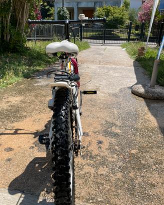 Bicicletta bambina Galaxy 20"