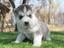 Immagine 4