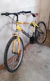 bici da riparare 