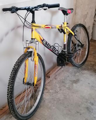 bici da riparare 