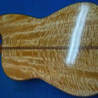 Chitarra arpa di liuteria