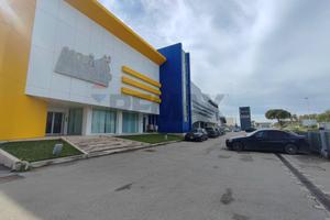 Commerciale Altro - Barletta
