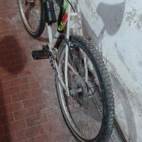 mountain bike da uomo 