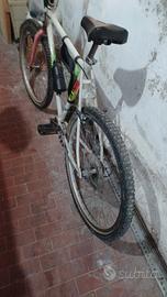 mountain bike da uomo 