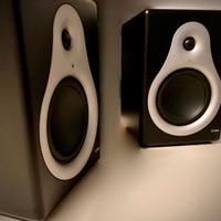 COPPIA DI MONITOR M-AUDIO DSM1 CASSE PROFESSIONALI