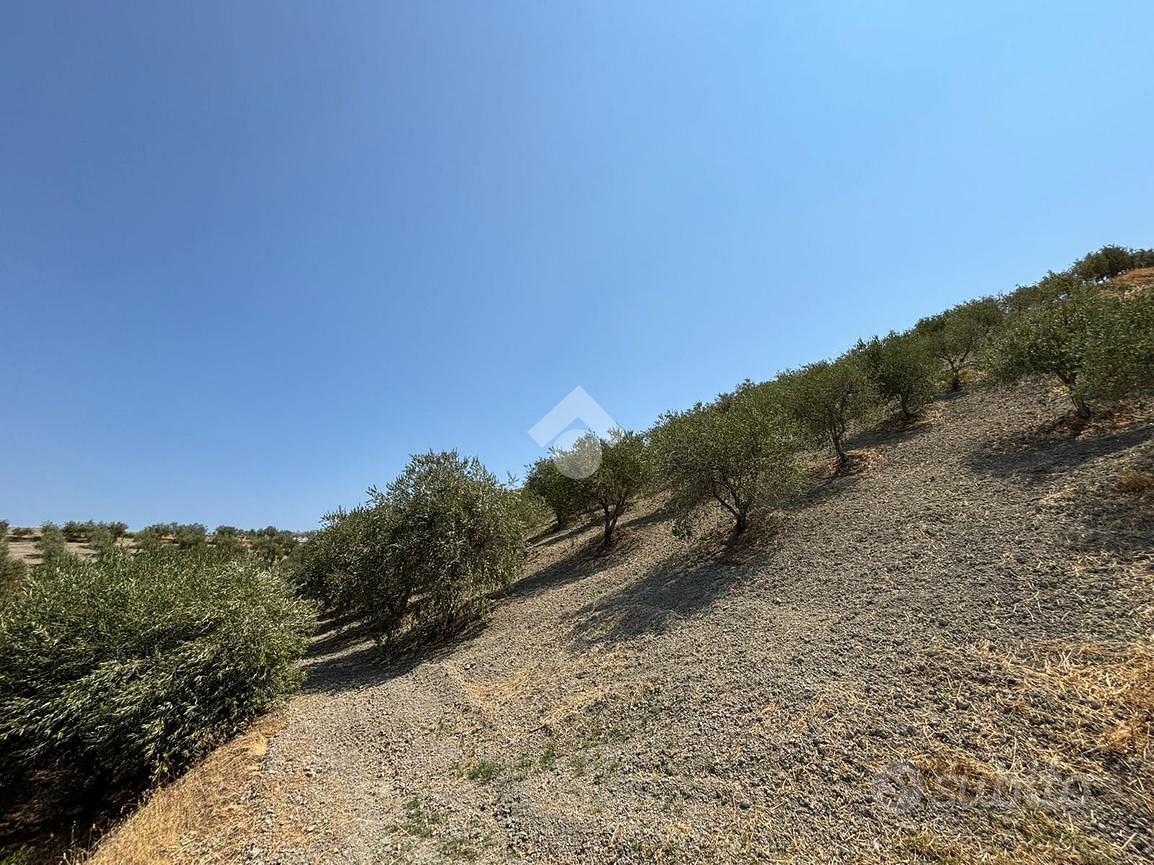 TER. AGRICOLO A CORIGLIANO-ROSSANO - Altro
