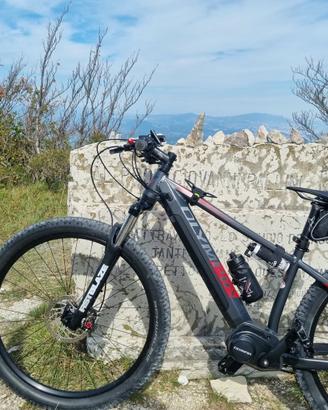 E bike Olympia Master 630