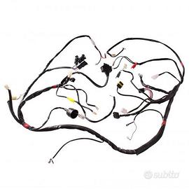 Impianto elettrico Malaguti F12R 01744600