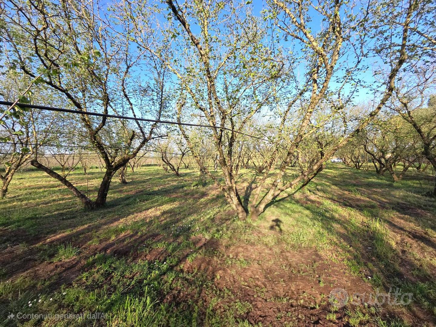 Terreno Agricolo - Ronciglione - Vista 3